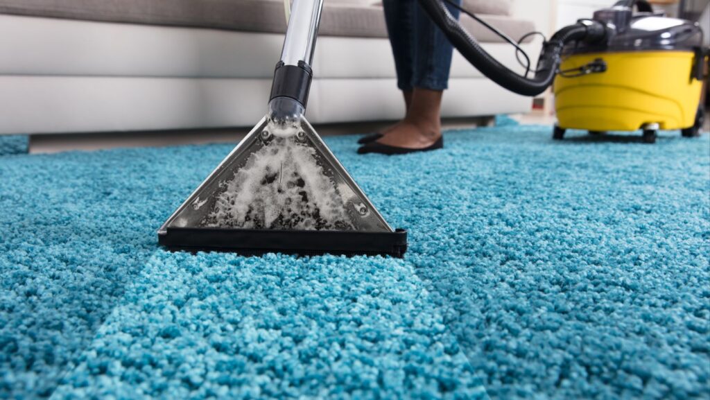 Highest Reasons to Hire a Carpet Cleaner in Rapid City 8 UNTITLED DESIGN 2025 08 27T171351.026