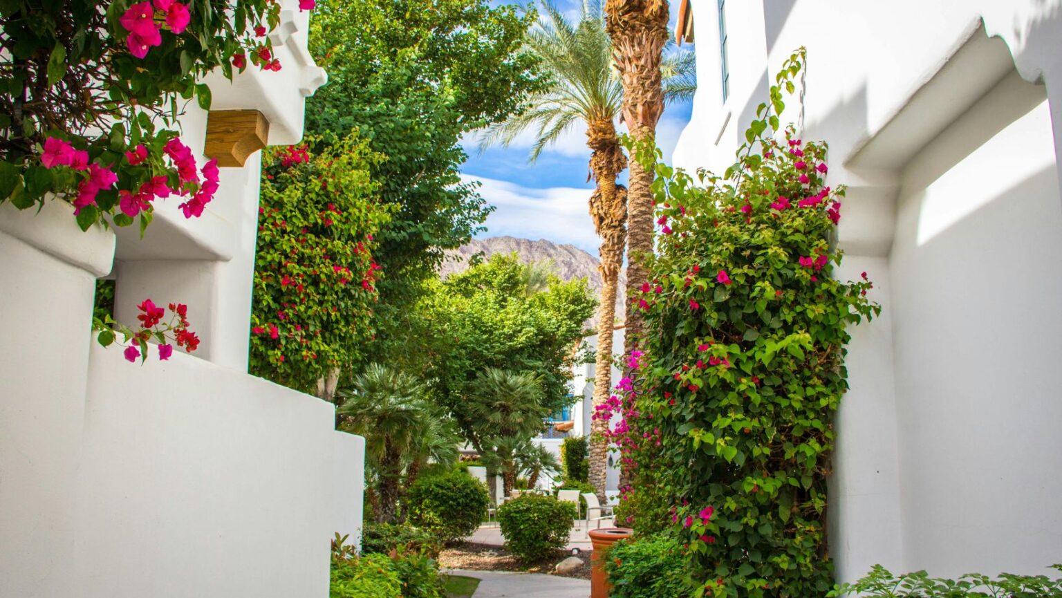 Low maintenance garden ideas: 29 stylish ways to create an easy-care ...