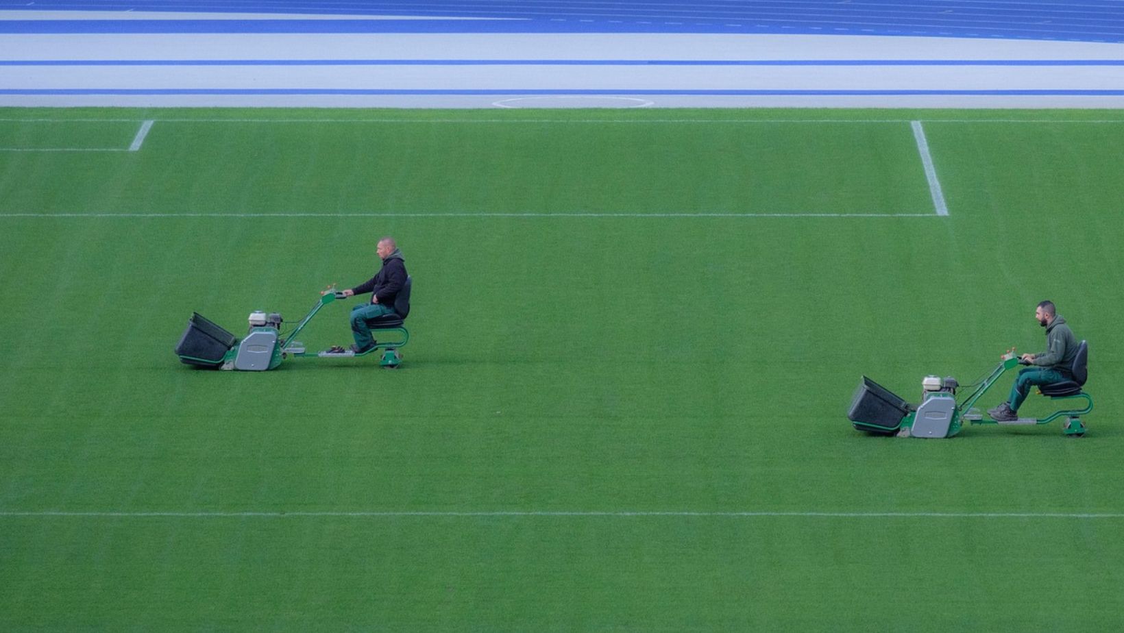 Benefits and Pitfalls of Professional Yard Services vs. DIY Projects 9 UNTITLED DESIGN 49