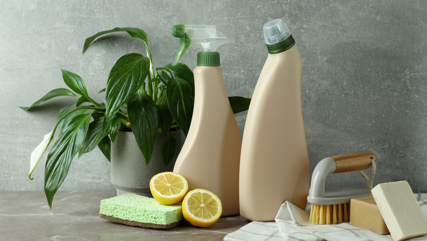 Eco-Friendly Cleaning Products That Won't Void Your Appliance Warranty 9 UNTITLED DESIGN 9