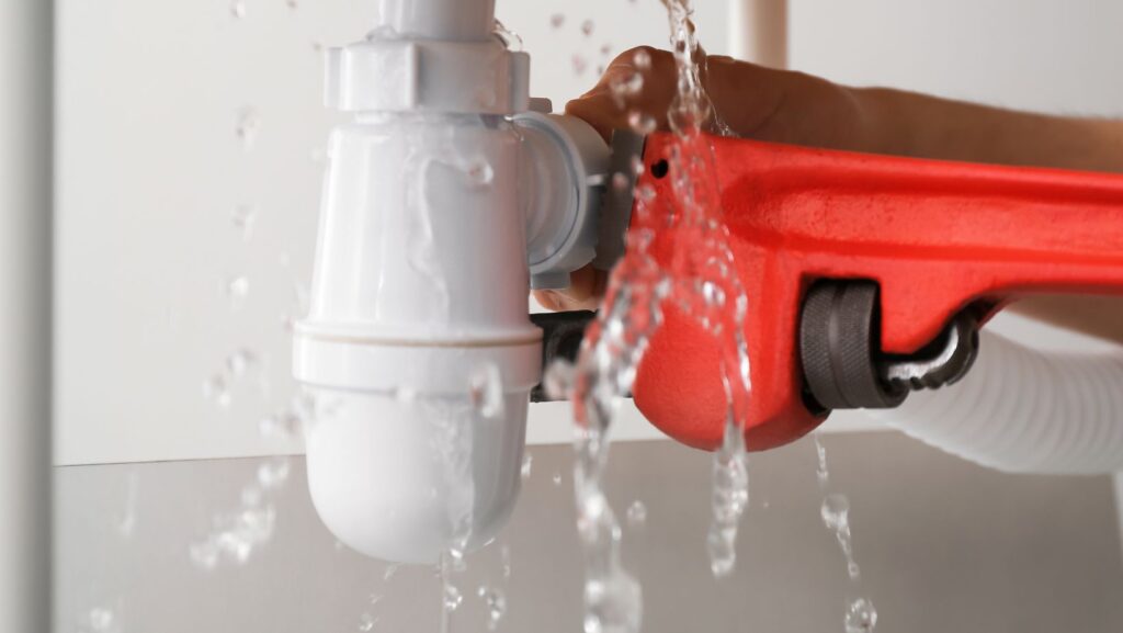 RMA 1640 x 924 px 2025 10 29T114820.613