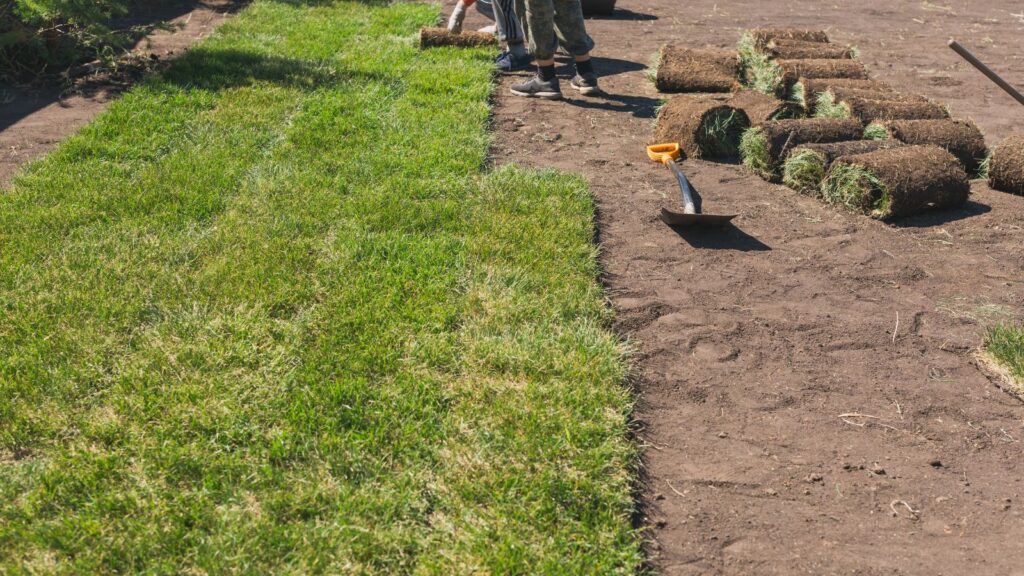 Untitled design 2025 10 28T114327.280