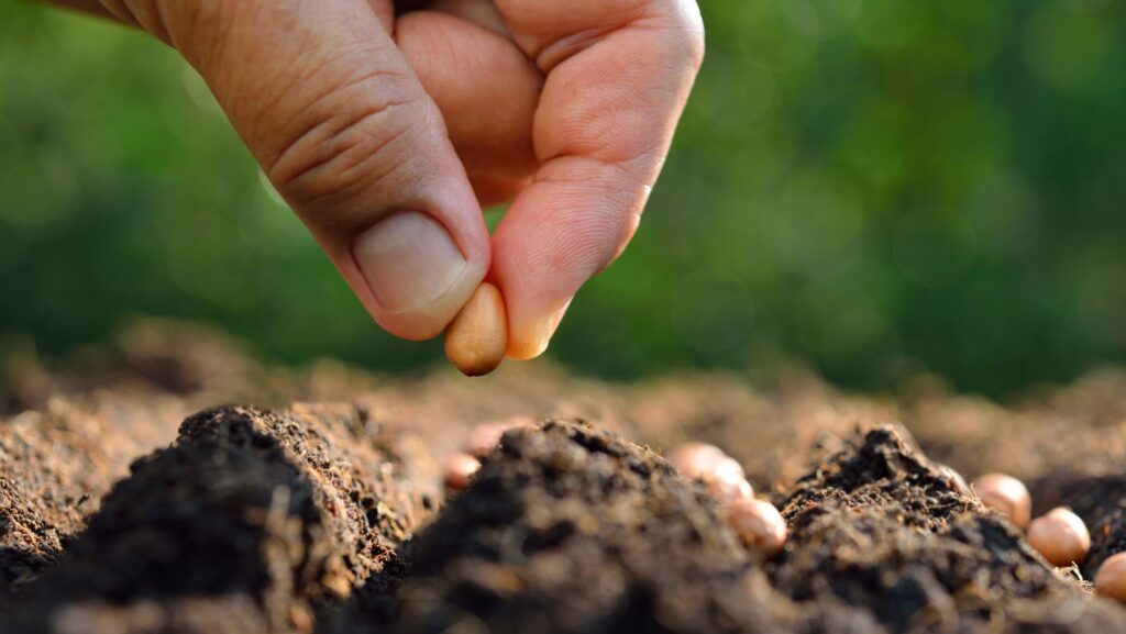 Untitled design 2025 11 27T103714.624