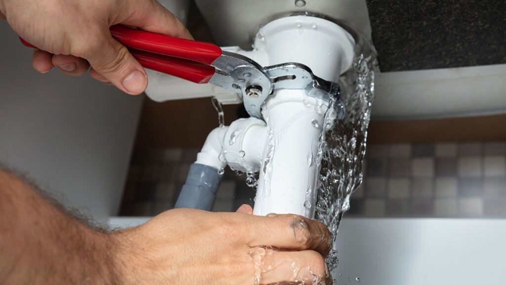 Plumbing Checks That Can Save Your Home from Damage 3 image 1