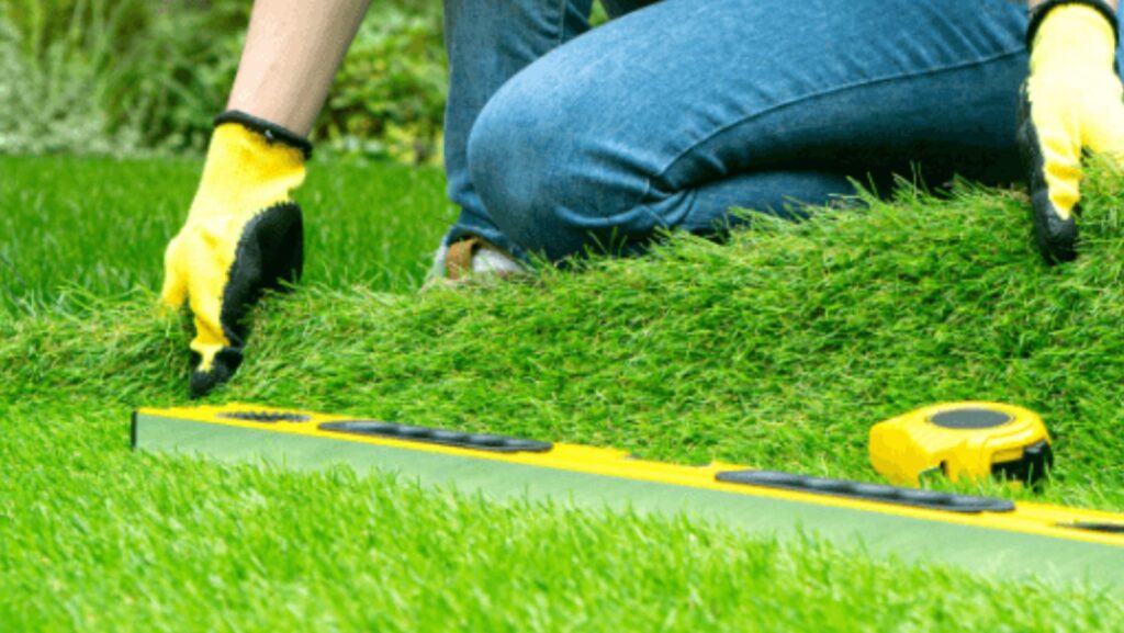 Grass Installation and Sod Replacement for Long-Lasting Lawns 5 Image 2025 12 13T100016.475