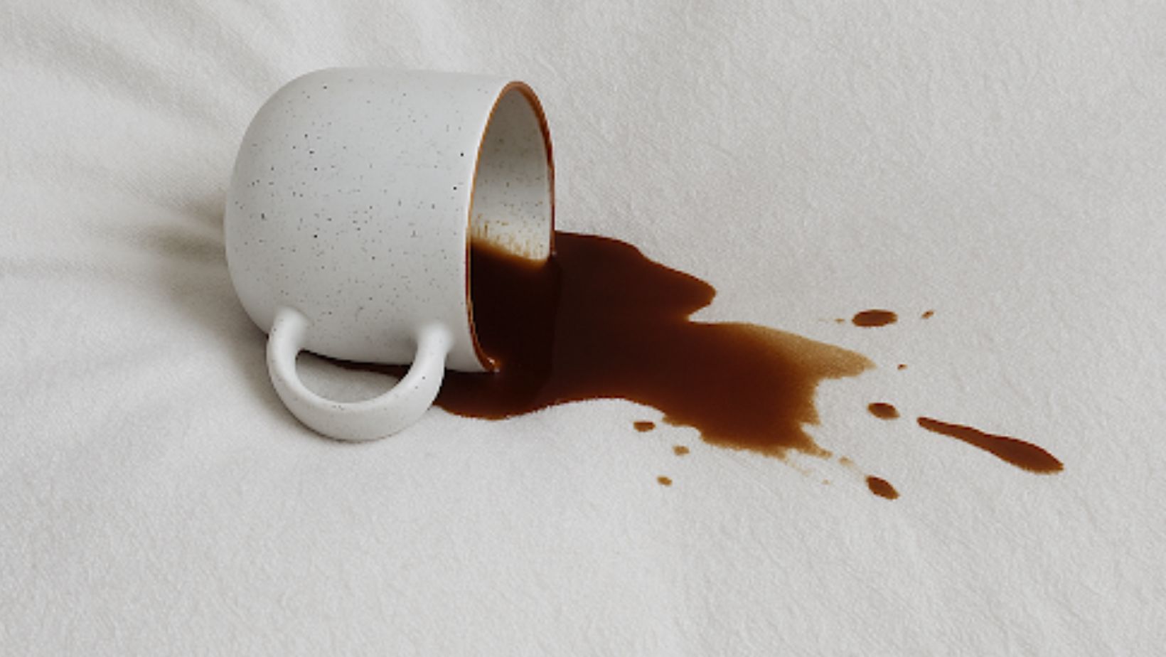 How to Clean a Sofa Without Damaging the Fabric 1 Untitled design 2026 03 04T111205.808