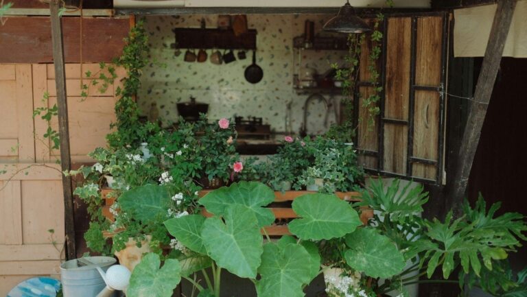 low maintenance garden native plants, native plant garden design, sustainable gardening ideas, drought tolerant plants, native landscaping tips, eco friendly garden solutions, xeriscape garden plants, garden maintenance reduction, native plant landscaping services, low upkeep garden ideas