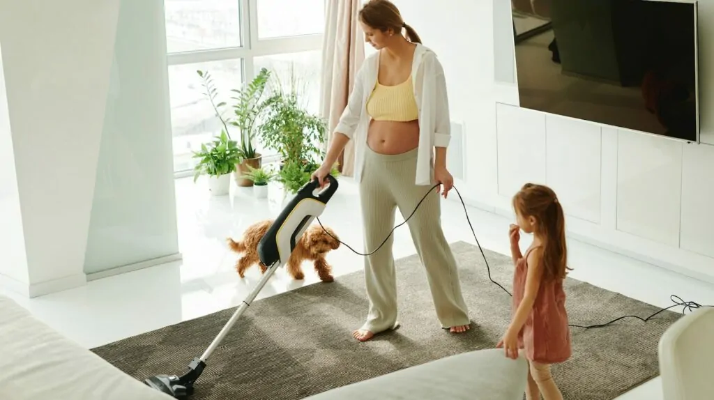 shark nv356e s2 navigator lift-away professional upright vacuum