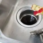 Why You Need a Garbage Disposal & How to Choose One