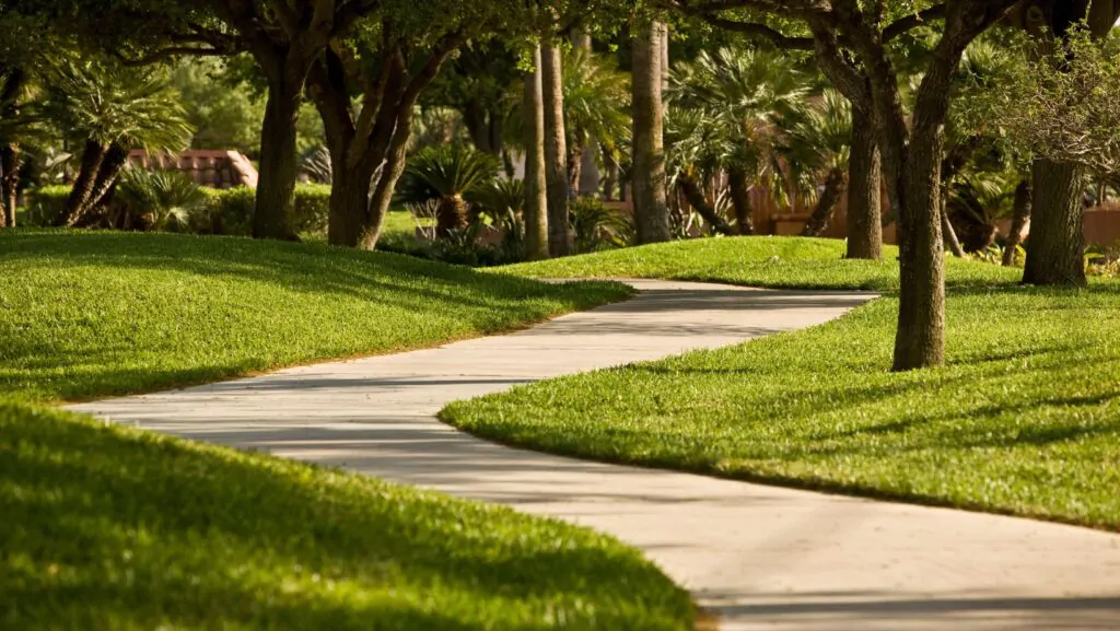 Untitled design 2025 08 27T142814.827